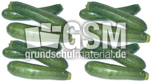 Zucchini-2x6.jpg